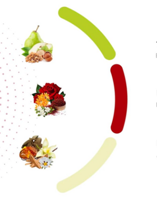 Khadlaj Musk Pour Amber Eau de Parfum Spray – For Women | 3.4 fl oz / 100 ml