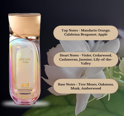 Rue Broca Nexa Musee – 100 ml / 3.4 fl oz Eau de Parfum (Unisex)