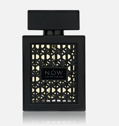 Rave Now – 100 ml / 3.4 fl oz Eau de Parfum (Men)