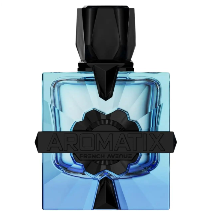 French Avenue Magnetiq Eau de Parfum 100ml (3.4 oz) | Woody Aromatic Bergamot Pink Pepper Unisex Fragrance | Long Lasting Perfume Spray