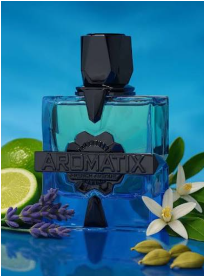 French Avenue Magnetiq Eau de Parfum 100ml (3.4 oz) | Woody Aromatic Bergamot Pink Pepper Unisex Fragrance | Long Lasting Perfume Spray
