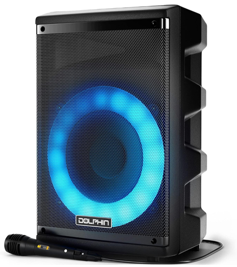 Dolphin 8" Heavy-Duty Handy Party Speaker with Wired Microphone & Remote Control