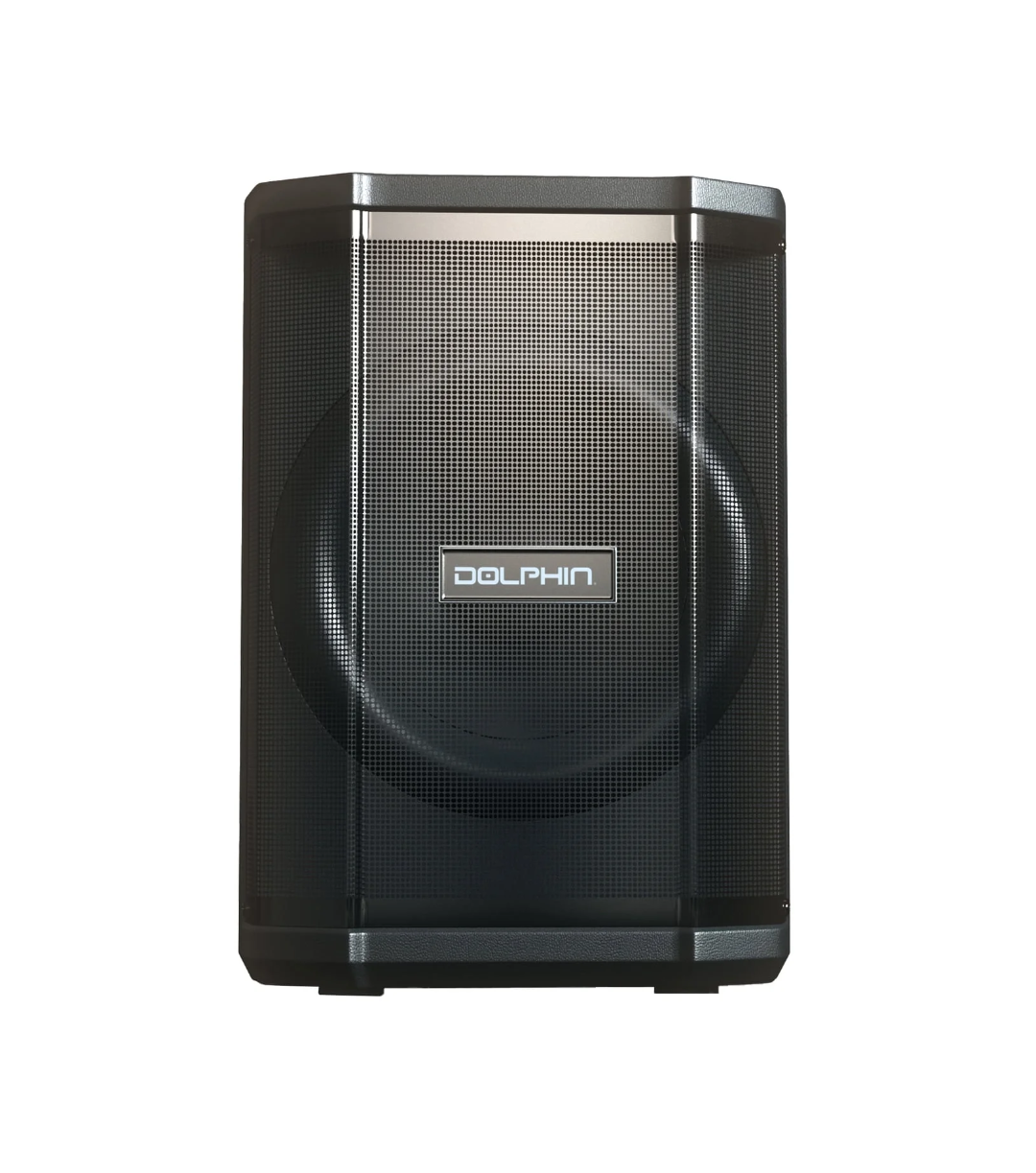 Dolphin 8" Heavy-Duty Handy Party Speaker with Wireless Microphone & Remote