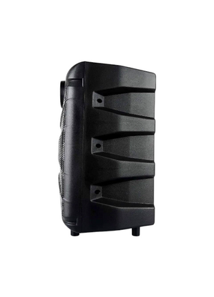 Dolphin 8" Heavy-Duty Handy Party Speaker with Wired Microphone & Remote