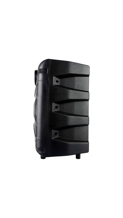 Dolphin 8" Heavy-Duty Handy Party Speaker with Wired Microphone & Remote